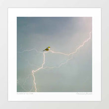 Cargar imagen en el visor de la galería, 'Silvereye of the storm' Art Print by Vertigo Artography