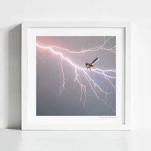 Cargar imagen en el visor de la galería, Fantail on a Lightning Bolt artwork featuring a fantail bird navigating a powerful lightning bolt, perfect for contemporary home decor and nature-inspired art collections. Take home this native New Zealand bird art print to add to your wall art collection