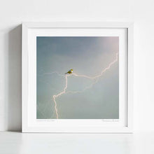 Cargar imagen en el visor de la galería, 'Silvereye of the storm' Art Print by Vertigo Artography