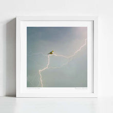 Cargar imagen en el visor de la galería, &#39;Silvereye of the storm&#39; Art Print by Vertigo Artography